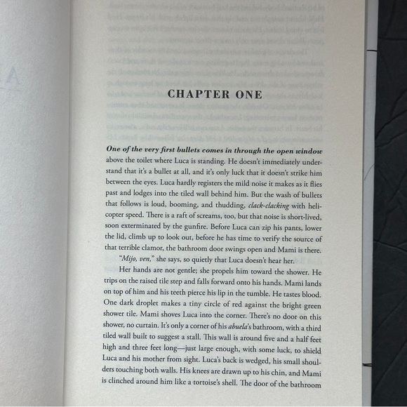 American Dirt: A Novel by Jeanine Cummins | Fiction, Thriller | Hardcover Book - Picture 9 of 9
